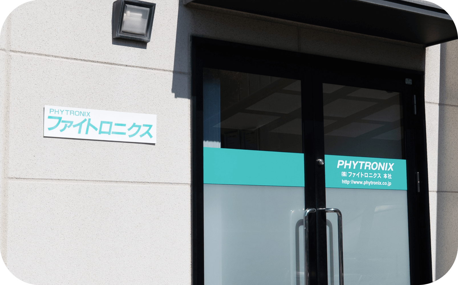 本社